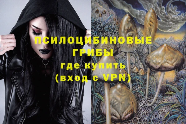 тгк Армянск