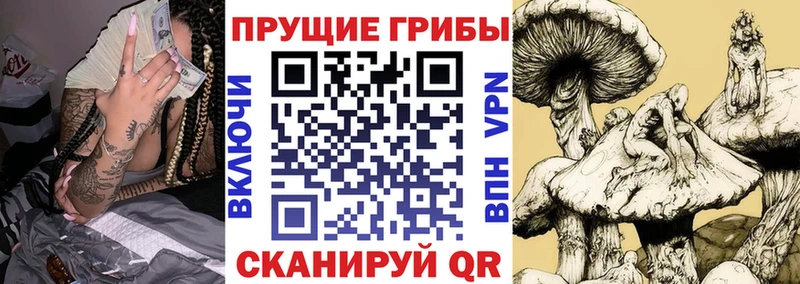 Псилоцибиновые грибы прущие грибы  Купить закладки  Боровск 